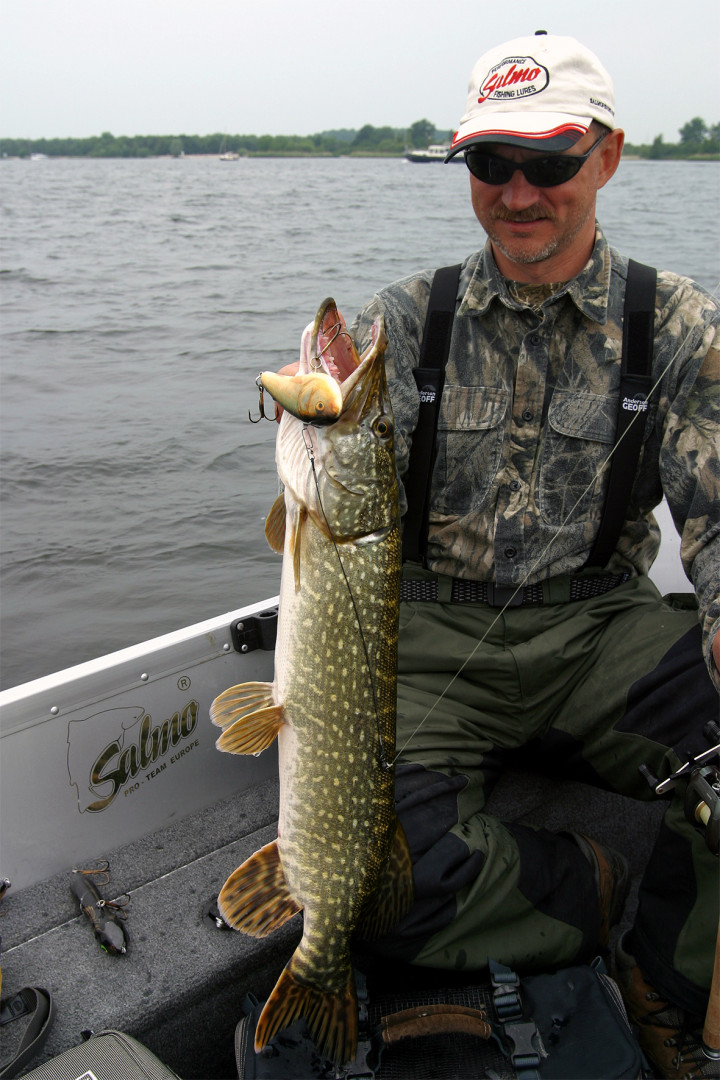 Giant Chubby Salmo to wertykalny jerkbait, który już nie jeden raz sprawdził się w rollingu na wielkie szczupaki.